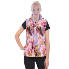 Flowering Almond Flowersg Women s Button Up Vest by FunnyCow