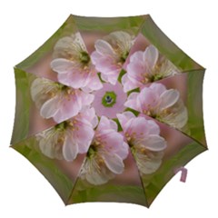 Single Almond Flower Hook Handle Umbrellas (small) by FunnyCow