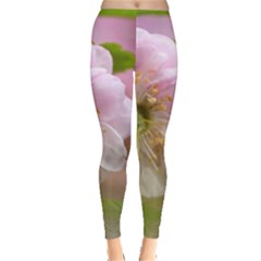 Single Almond Flower Leggings  by FunnyCow