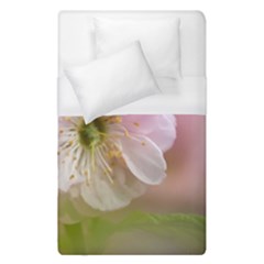 Single Almond Flower Duvet Cover (single Size) by FunnyCow
