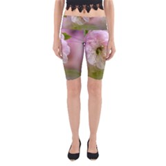 Single Almond Flower Yoga Cropped Leggings by FunnyCow