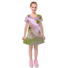 Single Almond Flower Kids  Short Sleeve Velvet Dress by FunnyCow