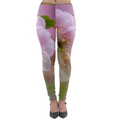 Single Almond Flower Lightweight Velour Leggings by FunnyCow