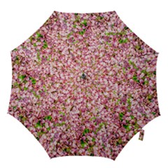 Almond Tree In Bloom Hook Handle Umbrellas (small) by FunnyCow