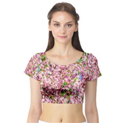 Almond Tree In Bloom Short Sleeve Crop Top by FunnyCow