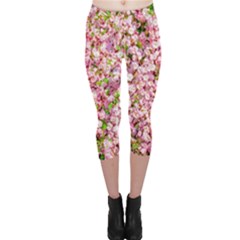 Almond Tree In Bloom Capri Leggings  by FunnyCow