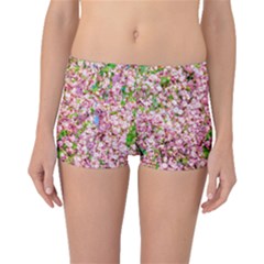 Almond Tree In Bloom Boyleg Bikini Bottoms by FunnyCow