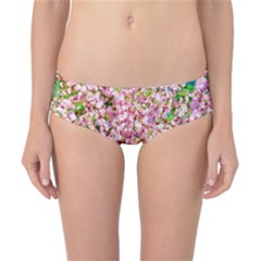 Almond Tree In Bloom Classic Bikini Bottoms by FunnyCow