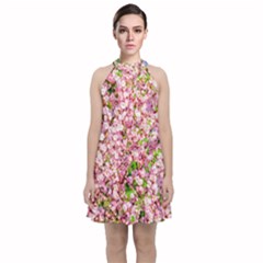 Almond Tree In Bloom Velvet Halter Neckline Dress  by FunnyCow