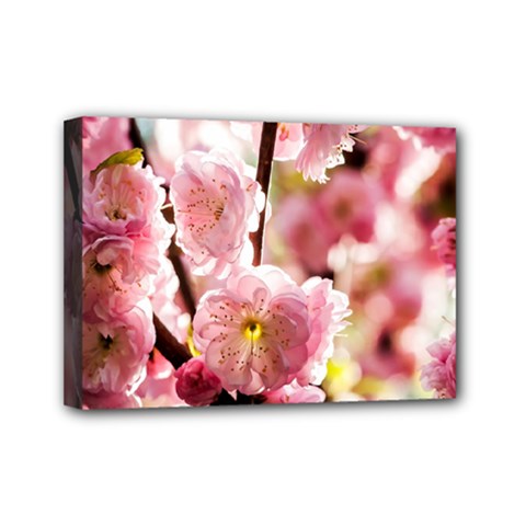 Blooming Almond At Sunset Mini Canvas 7  X 5  by FunnyCow