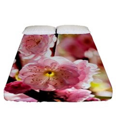 Blooming Almond At Sunset Fitted Sheet (queen Size) by FunnyCow