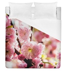 Blooming Almond At Sunset Duvet Cover (queen Size) by FunnyCow