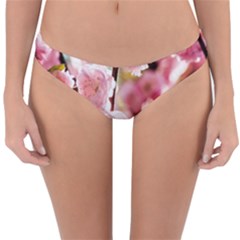 Blooming Almond At Sunset Reversible Hipster Bikini Bottoms by FunnyCow