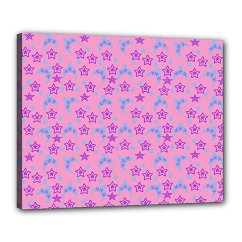 Pink Star Blue Hats Canvas 20  x 16 