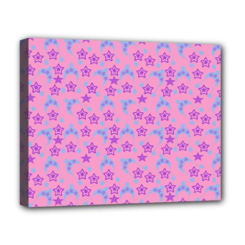 Pink Star Blue Hats Deluxe Canvas 20  x 16  