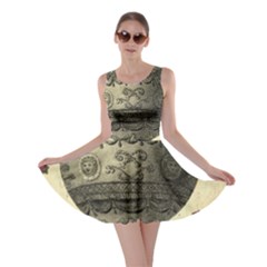 Vintage Air Balloon With Roses Skater Dress