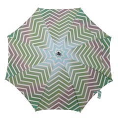 Ombre Zigzag 02 Hook Handle Umbrellas (medium)