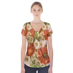 Poppy 2507631 960 720 Short Sleeve Front Detail Top by vintage2030