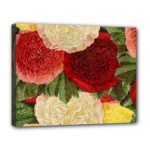 Flowers 1776429 1920 Canvas 14  X 11  (stretched) by vintage2030