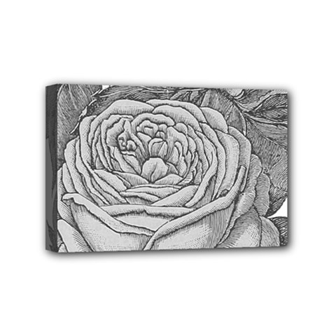 Flowers 1776610 1920 Mini Canvas 6  X 4  (stretched) by vintage2030
