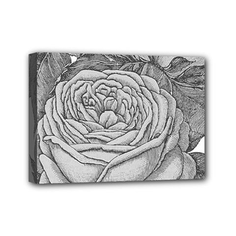 Flowers 1776610 1920 Mini Canvas 7  X 5  (stretched) by vintage2030