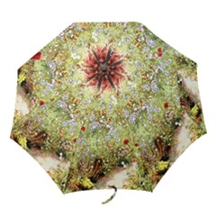 Scenery Folding Umbrellas by vintage2030