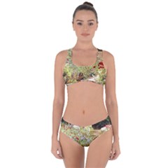 Scenery Criss Cross Bikini Set by vintage2030