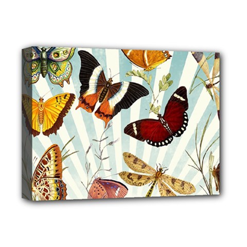 Butterfly 1064147 960 720 Deluxe Canvas 16  X 12  (stretched) 