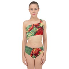 Lady 1334282 1920 Spliced Up Two Piece Swimsuit by vintage2030