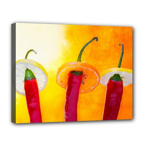 Three Red Chili Peppers Canvas 14  X 11  (stretched) by FunnyCow