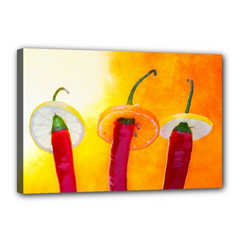 Three Red Chili Peppers Canvas 18  X 12  (stretched) by FunnyCow