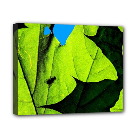Window Of Opportunity Canvas 10  X 8  (stretched) by FunnyCow