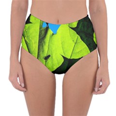 Window Of Opportunity Reversible High-waist Bikini Bottoms by FunnyCow