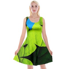 Window Of Opportunity Reversible Velvet Sleeveless Dress by FunnyCow