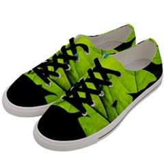 Window Of Opportunity Men s Low Top Canvas Sneakers by FunnyCow