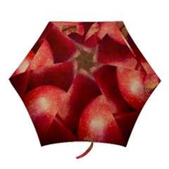 Three Red Apples Mini Folding Umbrellas by FunnyCow