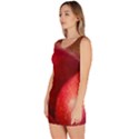 Three Red Apples Bodycon Dress View2
