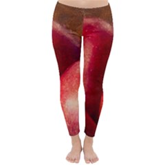 Three Red Apples Classic Winter Leggings by FunnyCow