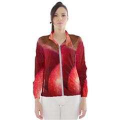 Three Red Apples Windbreaker (women) by FunnyCow