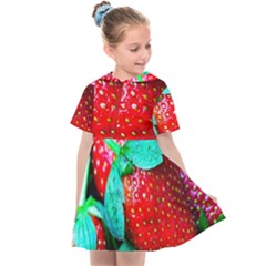 Red Strawberries Kids  Sailor Dress by FunnyCow