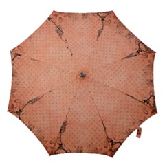 Body 1763255 1920 Hook Handle Umbrellas (small) by vintage2030