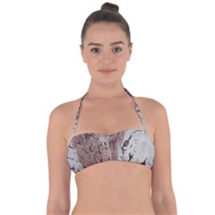 Bats Halter Bandeau Bikini Top