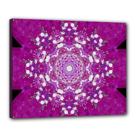 Wonderful Star Flower Painted On Canvas Canvas 20  X 16  (stretched) by pepitasart