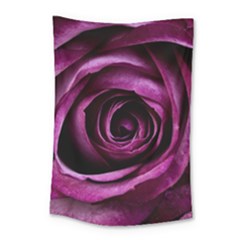 Plant Rose Flower Petals Nature Small Tapestry