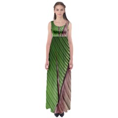 Leaf Banana Leaf Greenish Lines Empire Waist Maxi Dress