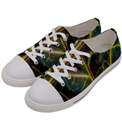 Leaf Abstract Nature Design Plant Women s Low Top Canvas Sneakers