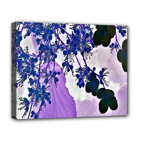 Blossom Bloom Floral Design Deluxe Canvas 20  X 16  (stretched)