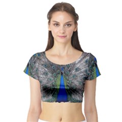 Peacock Bird Animals Pen Plumage Short Sleeve Crop Top