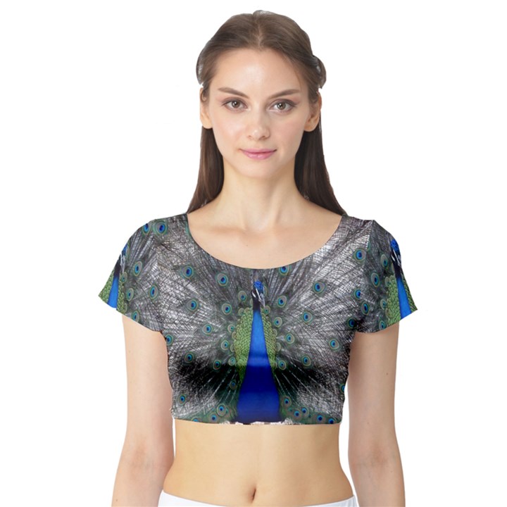 Peacock Bird Animals Pen Plumage Short Sleeve Crop Top