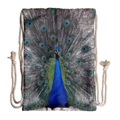 Peacock Bird Animals Pen Plumage Drawstring Bag (large) by Sapixe